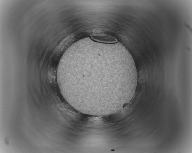 X0000102400140200808221856