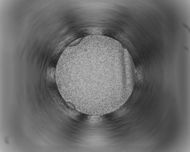 X0000102400141200808221856