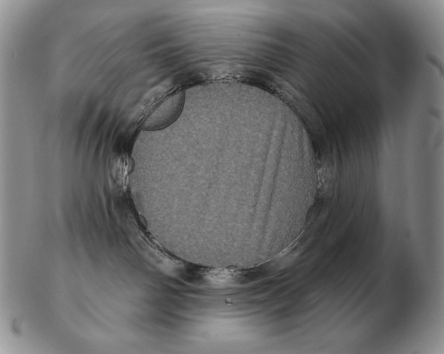 X0000102400142200808221856