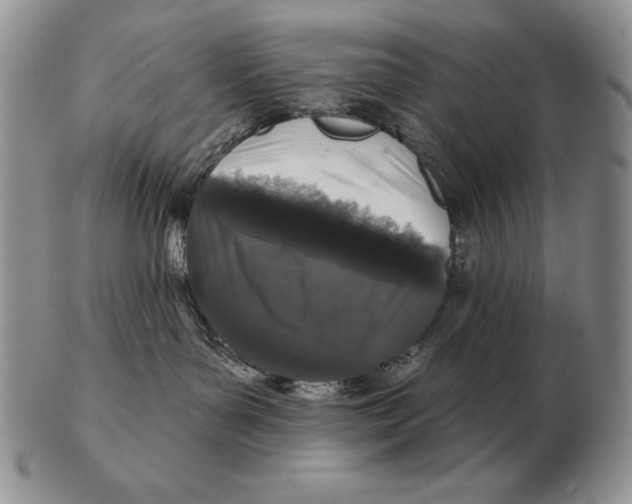 X0000102400143200808221856