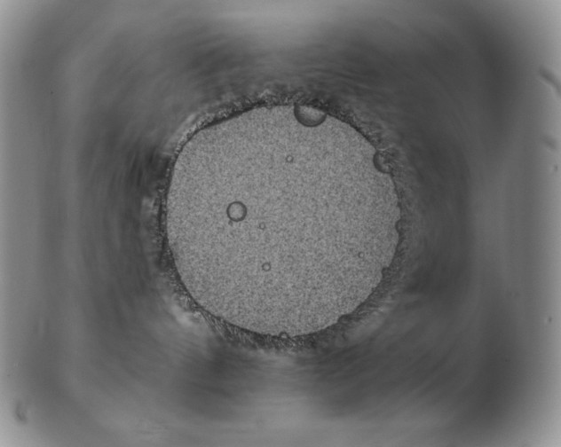 X0000102400144200808221856