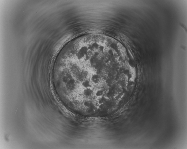 X0000102400145200808221855