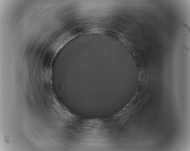 X0000102400146200808221855