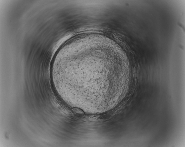 X0000102400148200808221855