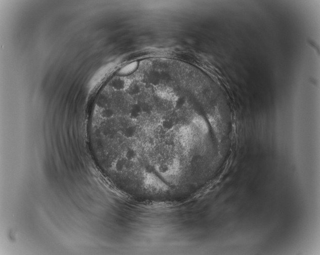 X0000102400149200808221855