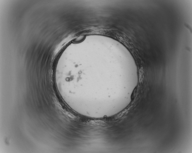 X0000102400150200808221855