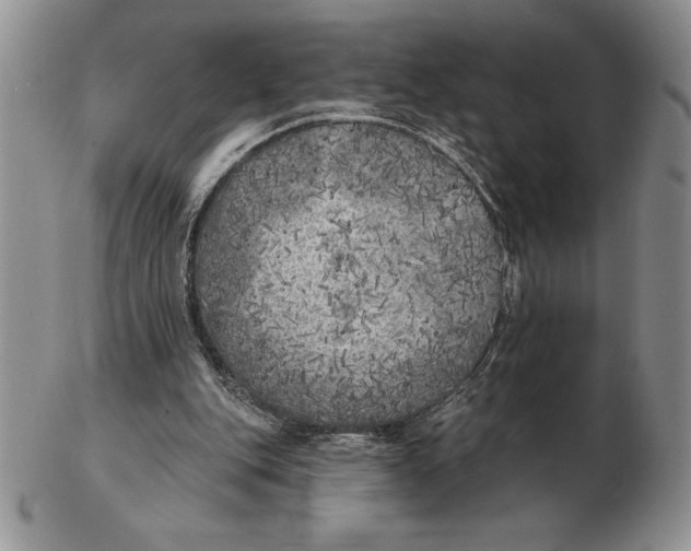 X0000102400151200808221855