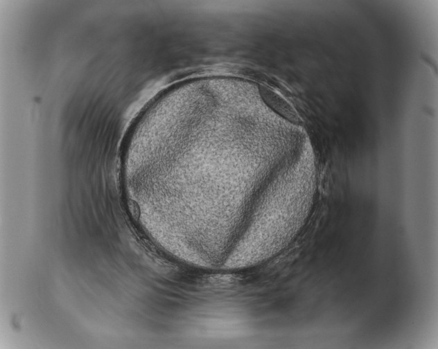 X0000102400152200808221855