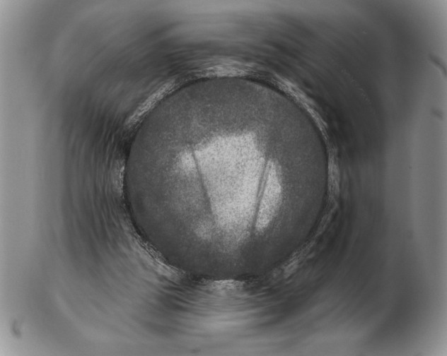 X0000102400153200808221855