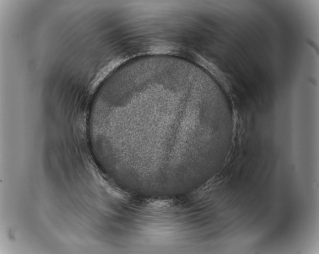 X0000102400155200808221856