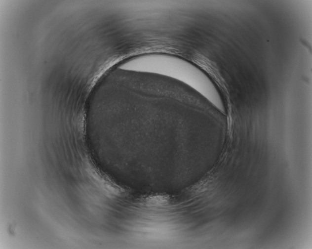 X0000102400156200808221856