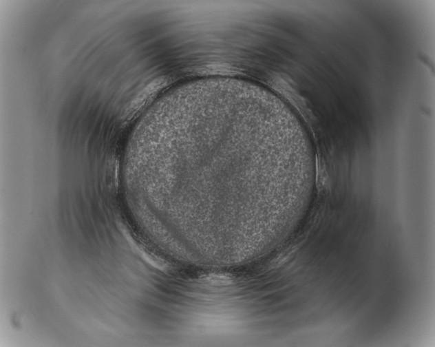 X0000102400157200808221856