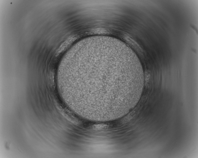 X0000102400158200808221856