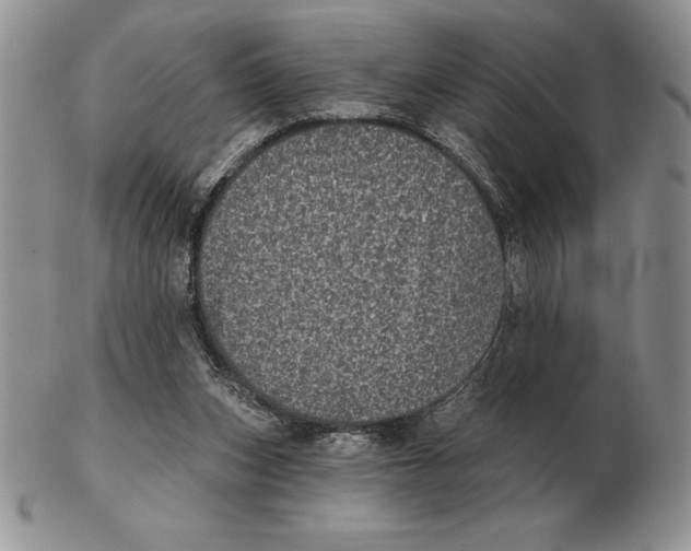 X0000102400159200808221856