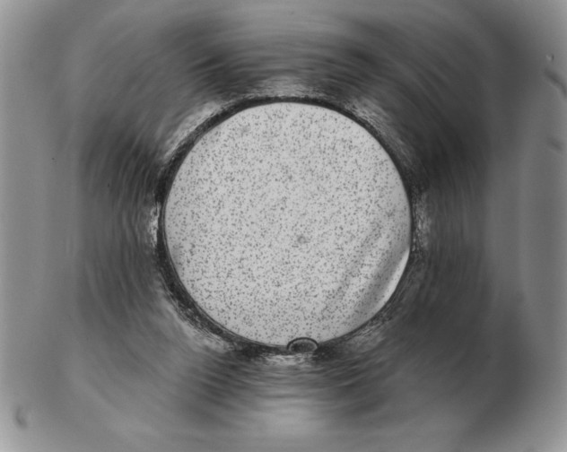 X0000102400160200808221856