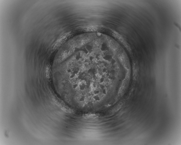 X0000102400161200808221856