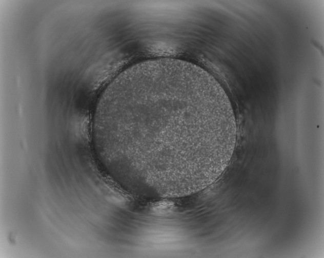 X0000102400162200808221856
