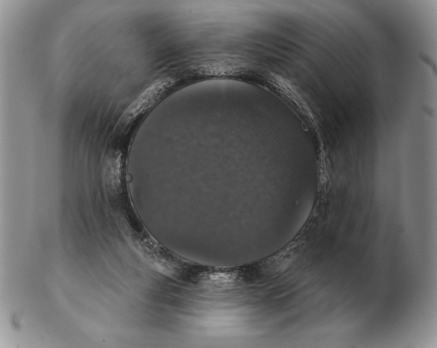 X0000102400163200808221856