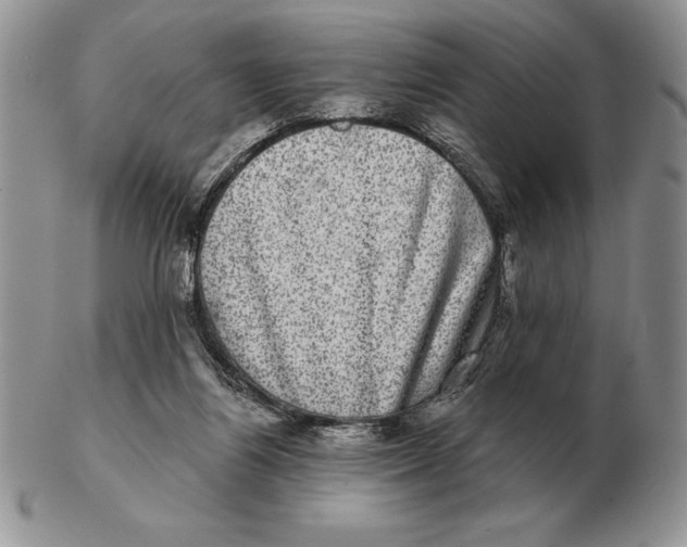 X0000102400164200808221856