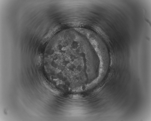 X0000102400165200808221856