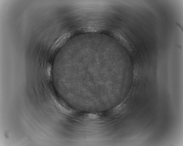 X0000102400166200808221856