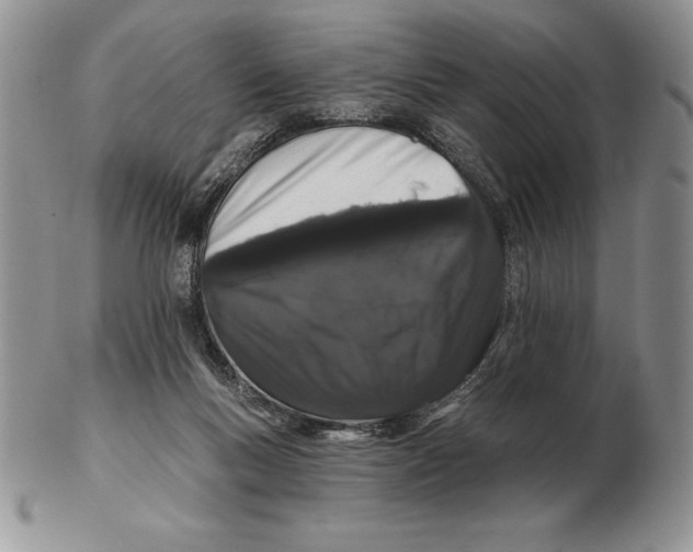 X0000102400167200808221856