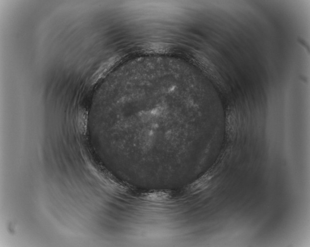 X0000102400168200808221856