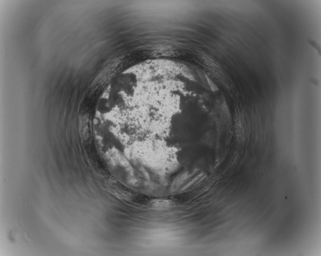 X0000102400169200808221856