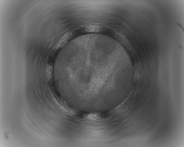 X0000102400171200808221856