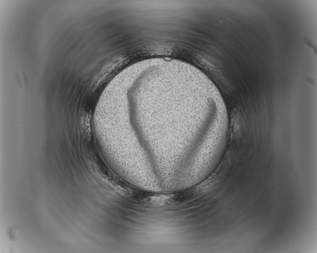 X0000102400172200808221856