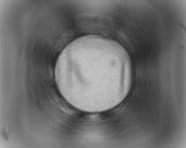 X0000102400173200808221856