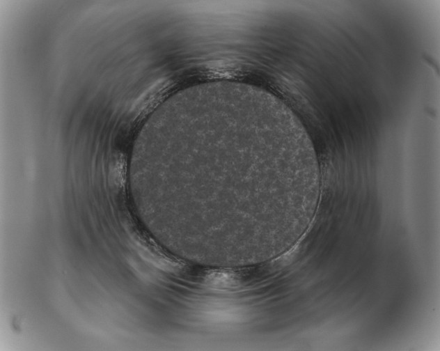 X0000102400174200808221856