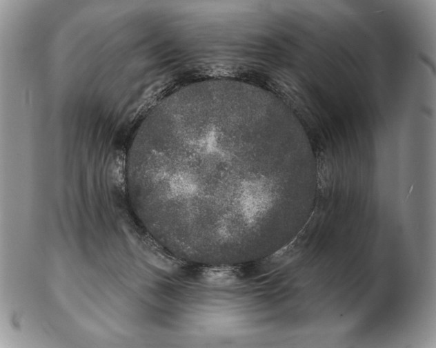 X0000102400175200808221856