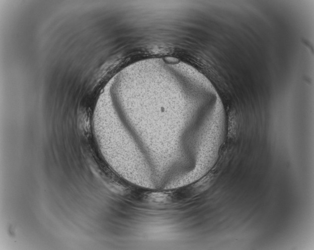 X0000102400176200808221856
