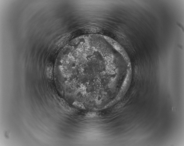 X0000102400177200808221856