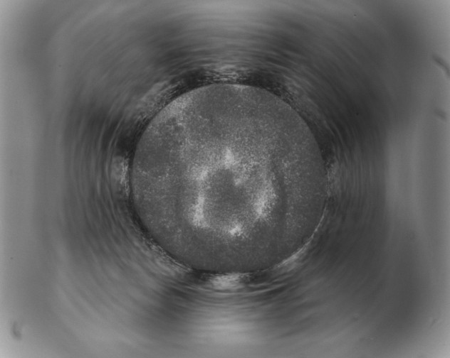 X0000102400178200808221856