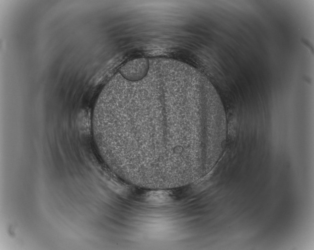 X0000102400179200808221856