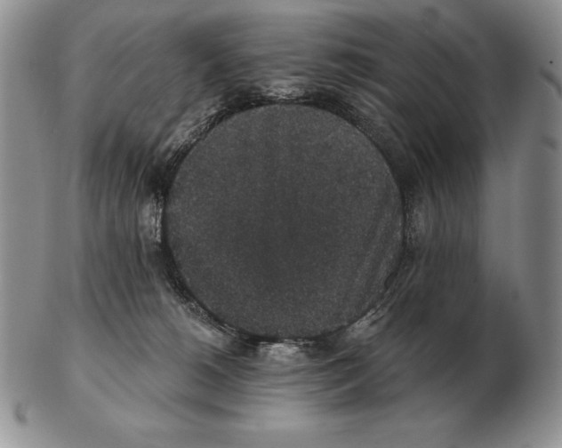 X0000102400180200808221856