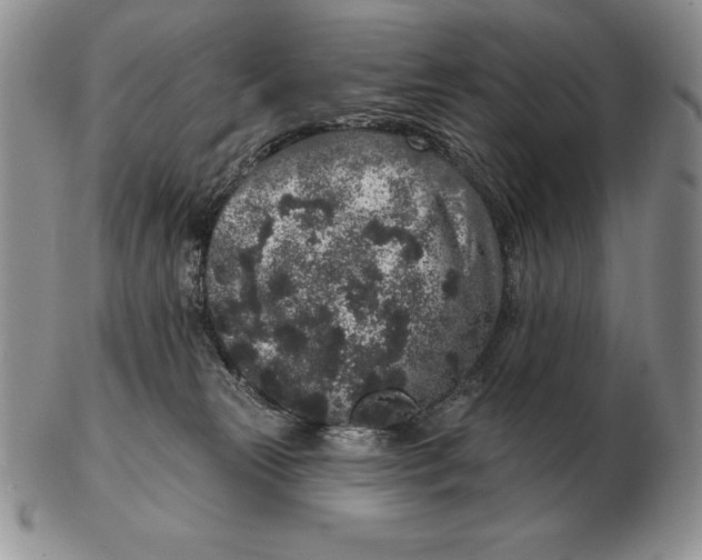 X0000102400181200808221856