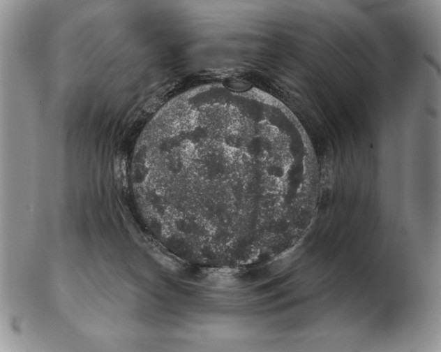 X0000102400182200808221856