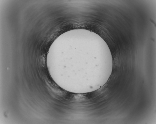 X0000102400183200808221856