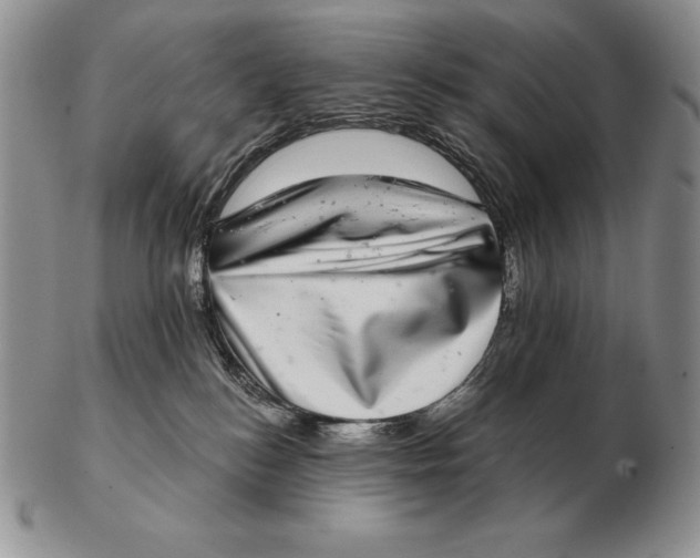 X0000102400184200808221856