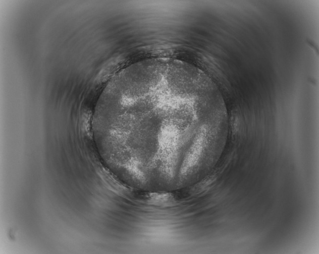 X0000102400185200808221856