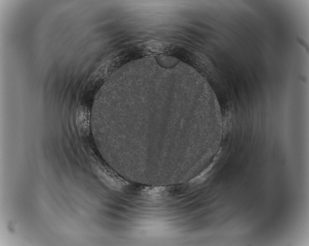 X0000102400186200808221856
