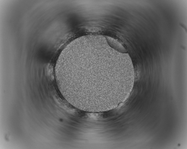 X0000102400187200808221856
