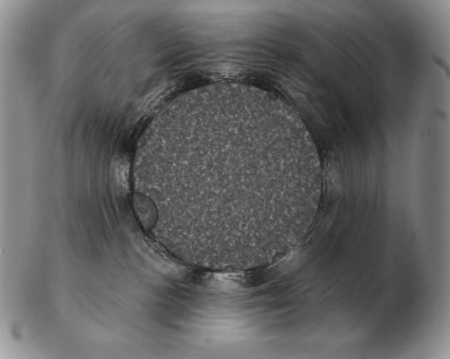 X0000102400188200808221856