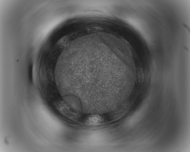 X0000102400189200808221856