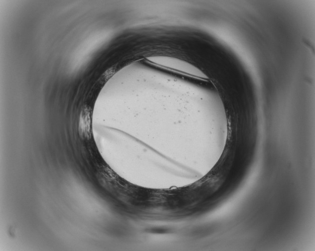 X0000102400190200808221856