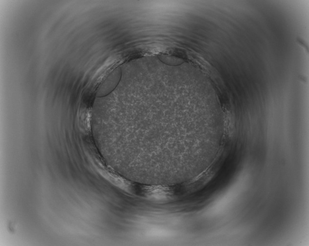 X0000102400191200808221856