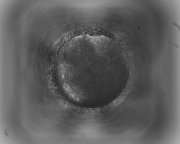 X0000102400192200808221856